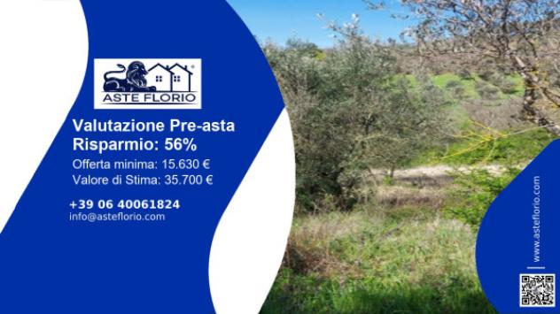 terreno agricolo in vendita a Magione in zona Collesanto