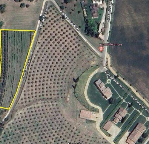 terreno agricolo in vendita a Magione