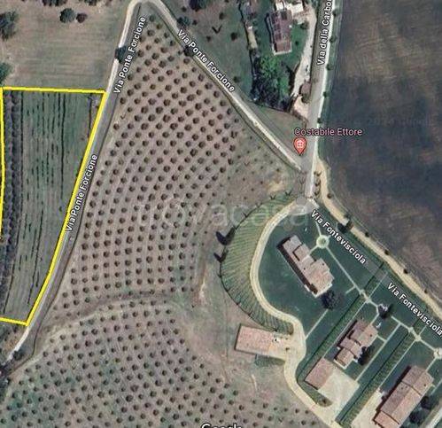 terreno agricolo in vendita a Magione