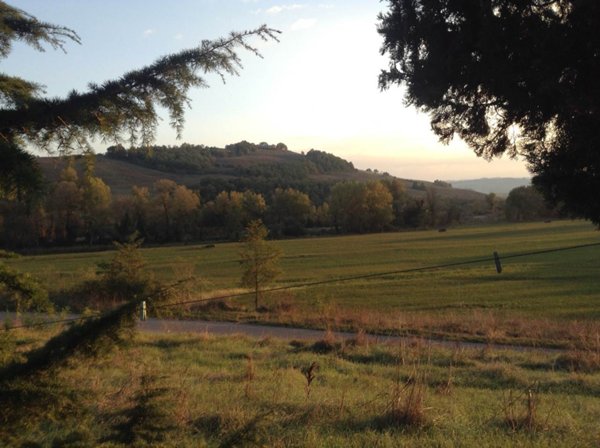 azienda agricola in vendita a Magione