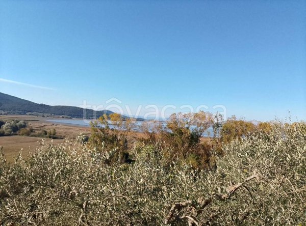 terreno agricolo in vendita a Magione in zona San Savino