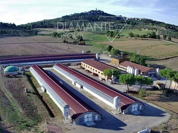 negozio in vendita a Magione