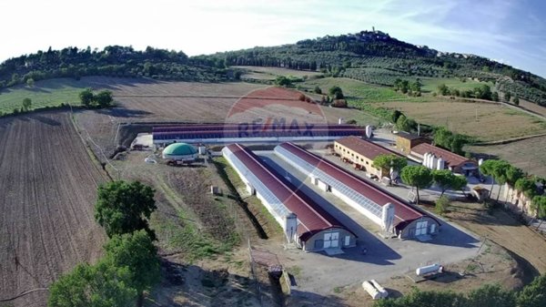 azienda agricola in vendita a Magione in zona Agello