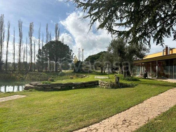 negozio in vendita a Magione