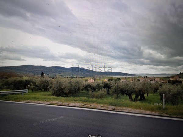 terreno agricolo in vendita a Magione