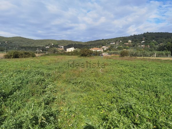 terreno agricolo in vendita a Magione in zona San Savino
