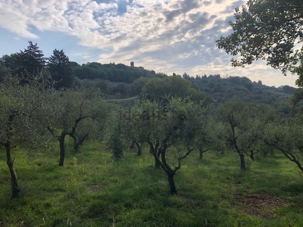 terreno agricolo in vendita a Magione