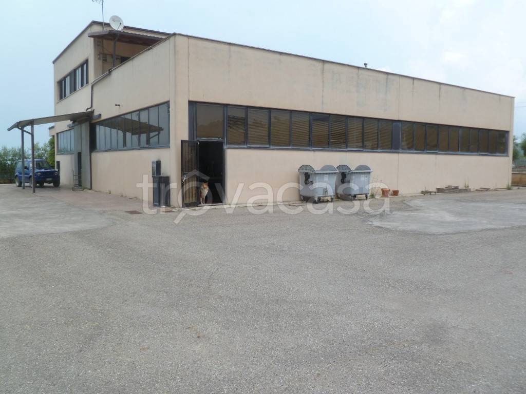 appartamento in vendita a Magione