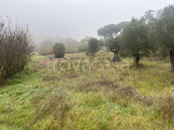 terreno edificabile in vendita a Magione