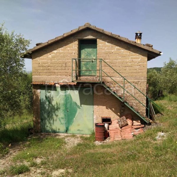 terreno agricolo in vendita a Magione in zona San Savino