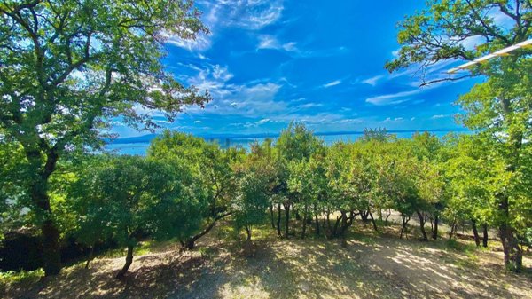 pentavano in vendita a Magione in zona San Feliciano