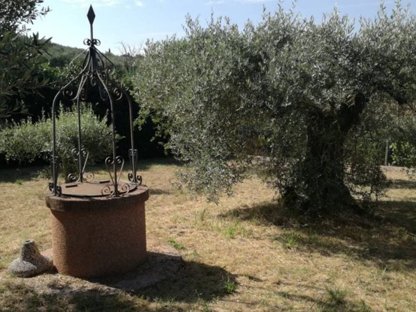 terreno agricolo in vendita a Magione in zona San Feliciano