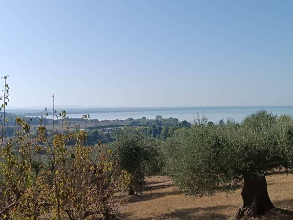 intera palazzina in vendita a Magione in zona Sant’Arcangelo