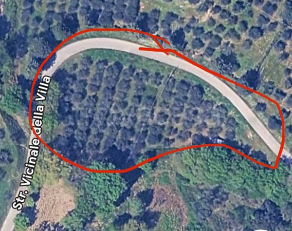 terreno agricolo in vendita a Magione