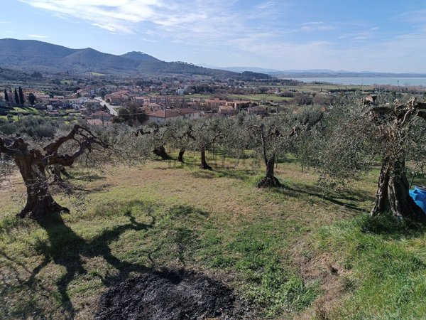 appartamento in vendita a Magione