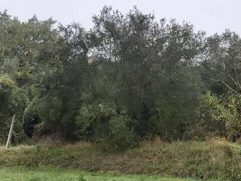 terreno edificabile in vendita a Magione in zona Agello