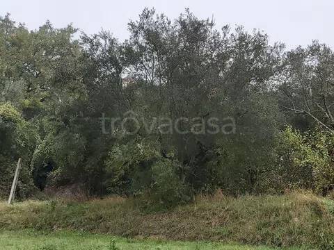 casa indipendente in vendita a Magione in zona Agello