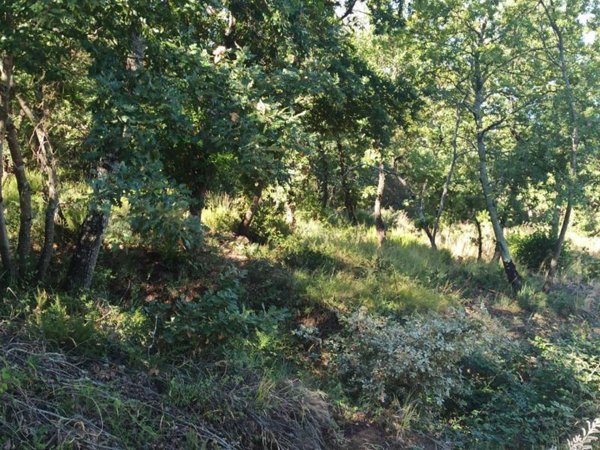 terreno edificabile in vendita a Magione in zona San Feliciano
