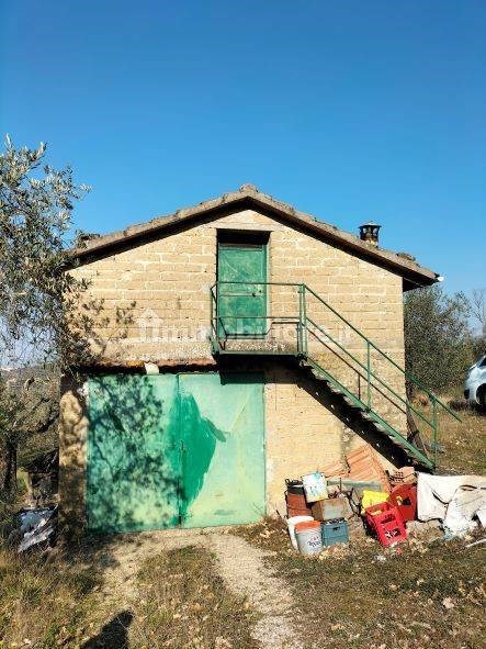 terreno agricolo in vendita a Magione