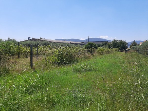terreno edificabile in vendita a Magione