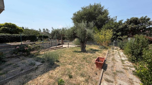 immagine annuncio 0 di 15
