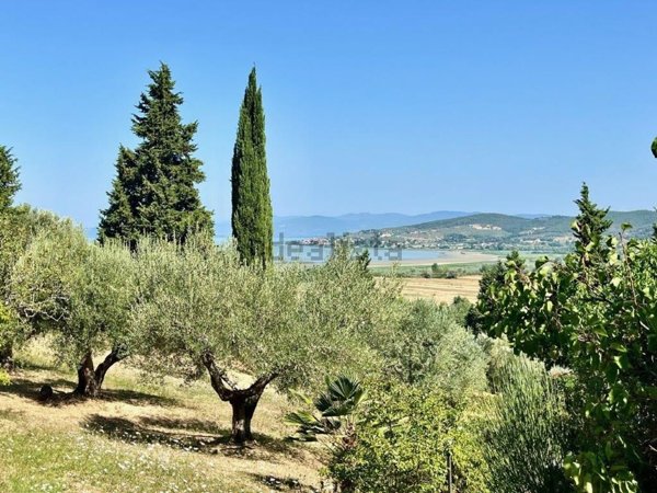 casa indipendente in vendita a Magione