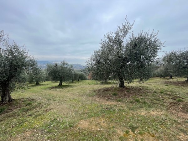 terreno in vendita a Magione in zona Sant’Arcangelo