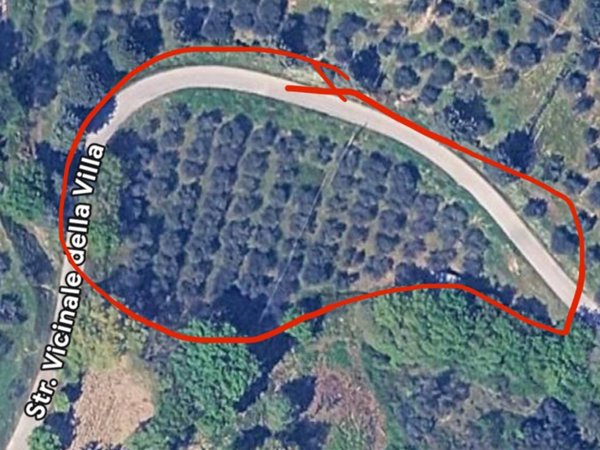 terreno agricolo in vendita a Magione in zona Antria