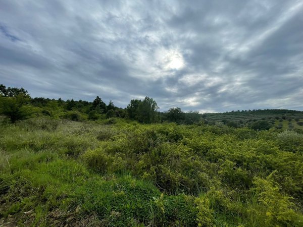 terreno in vendita a Magione