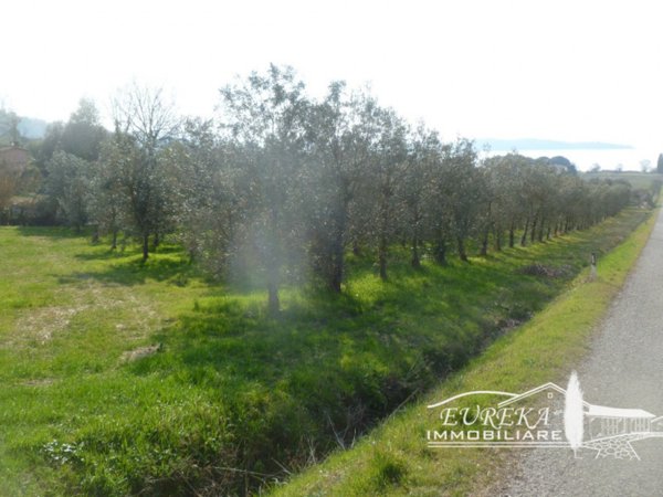 terreno in vendita a Magione in zona San Feliciano