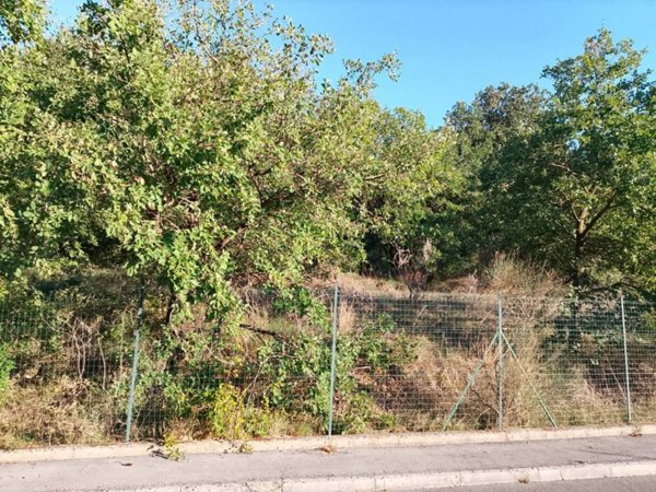 terreno in vendita a Magione
