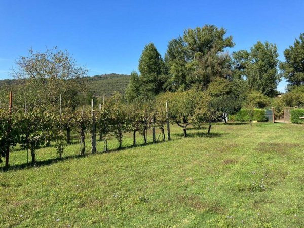terreno agricolo in vendita a Magione