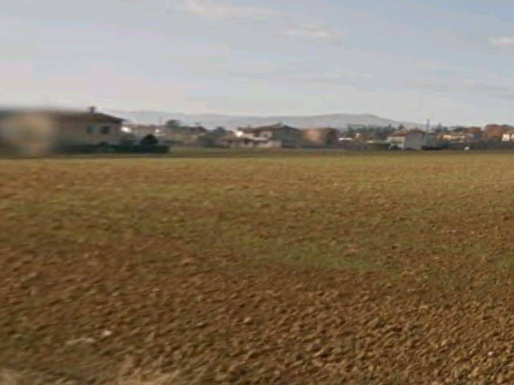 terreno agricolo in vendita a Marsciano