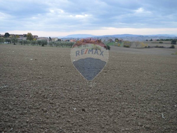 terreno agricolo in vendita a Marsciano in zona Spina