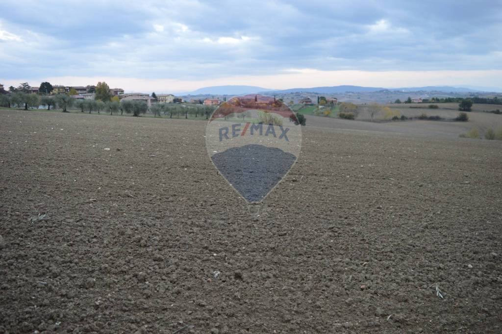 terreno agricolo in vendita a Marsciano in zona Spina