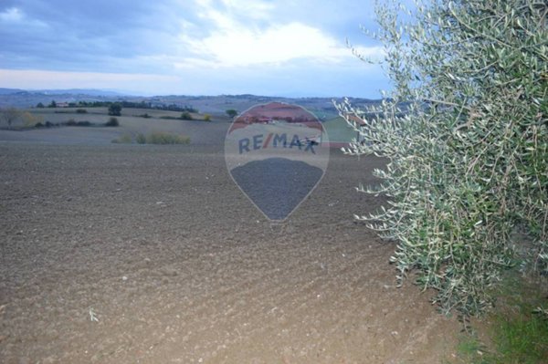 terreno agricolo in vendita a Marsciano in zona Spina
