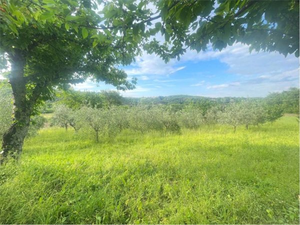 terreno agricolo in vendita a Marsciano in zona Migliano