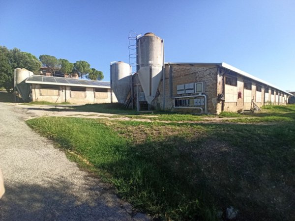 azienda agricola in vendita a Marsciano in zona Cerqueto
