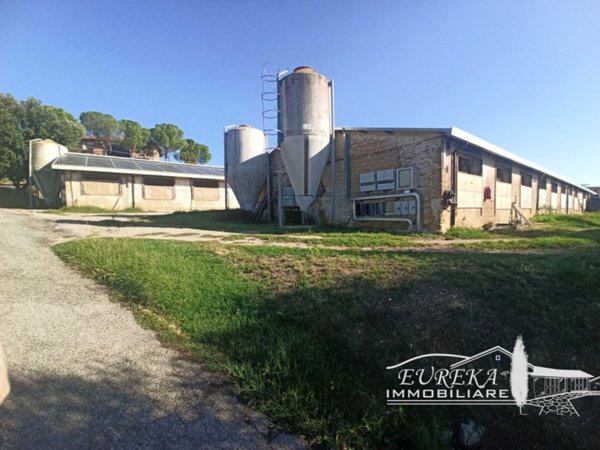 negozio in vendita a Marsciano in zona Cerqueto