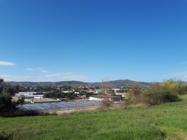 terreno agricolo in vendita a Marsciano