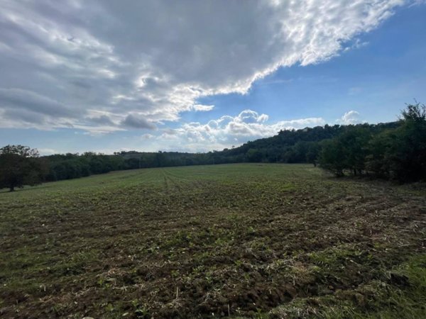 terreno agricolo in vendita a Marsciano in zona Compignano