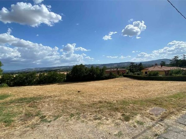 terreno agricolo in vendita a Marsciano