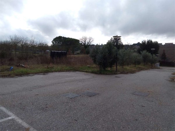 immagine annuncio 0 di 9