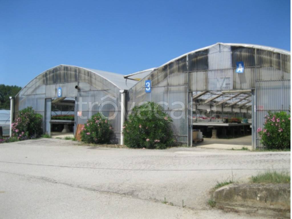 azienda agricola in vendita a Marsciano in zona San Biagio della Valle
