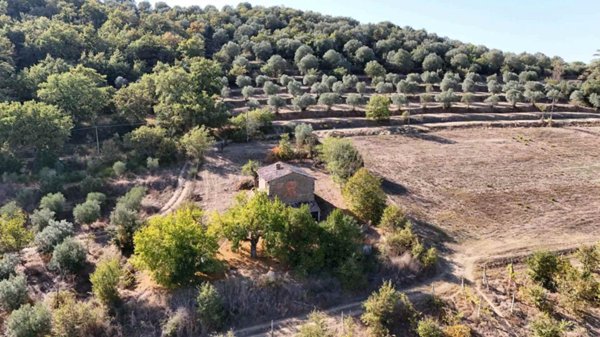 casa indipendente in vendita a Marsciano