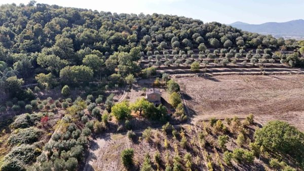 quadrivano in vendita a Marsciano