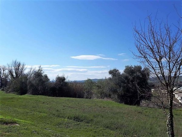terreno agricolo in vendita a Marsciano