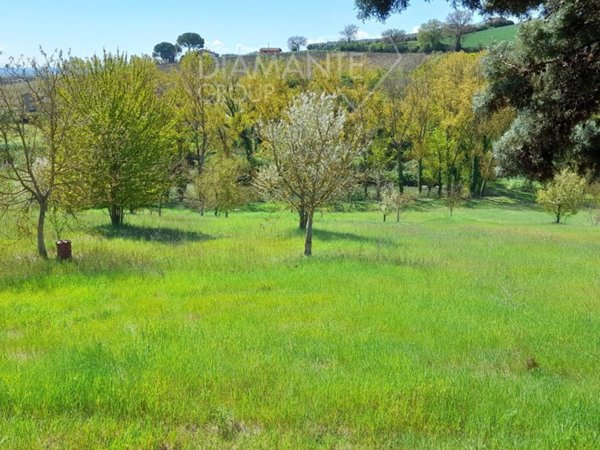 terreno agricolo in vendita a Marsciano in zona San Valentino della Collina
