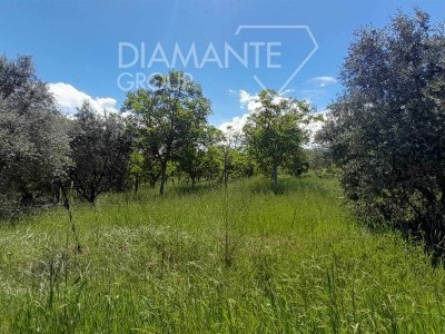 terreno agricolo in vendita a Marsciano in zona San Valentino della Collina