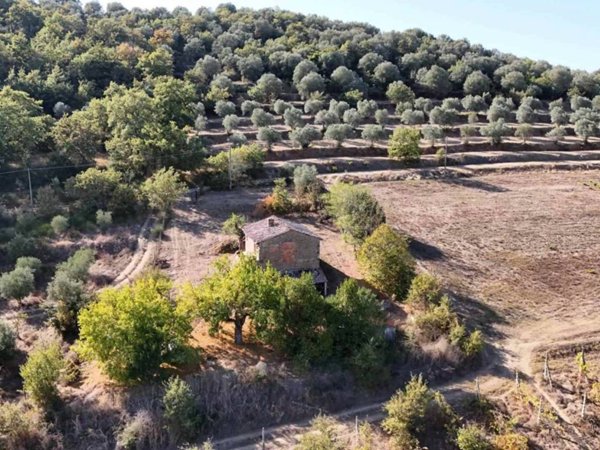 casa indipendente in vendita a Marsciano